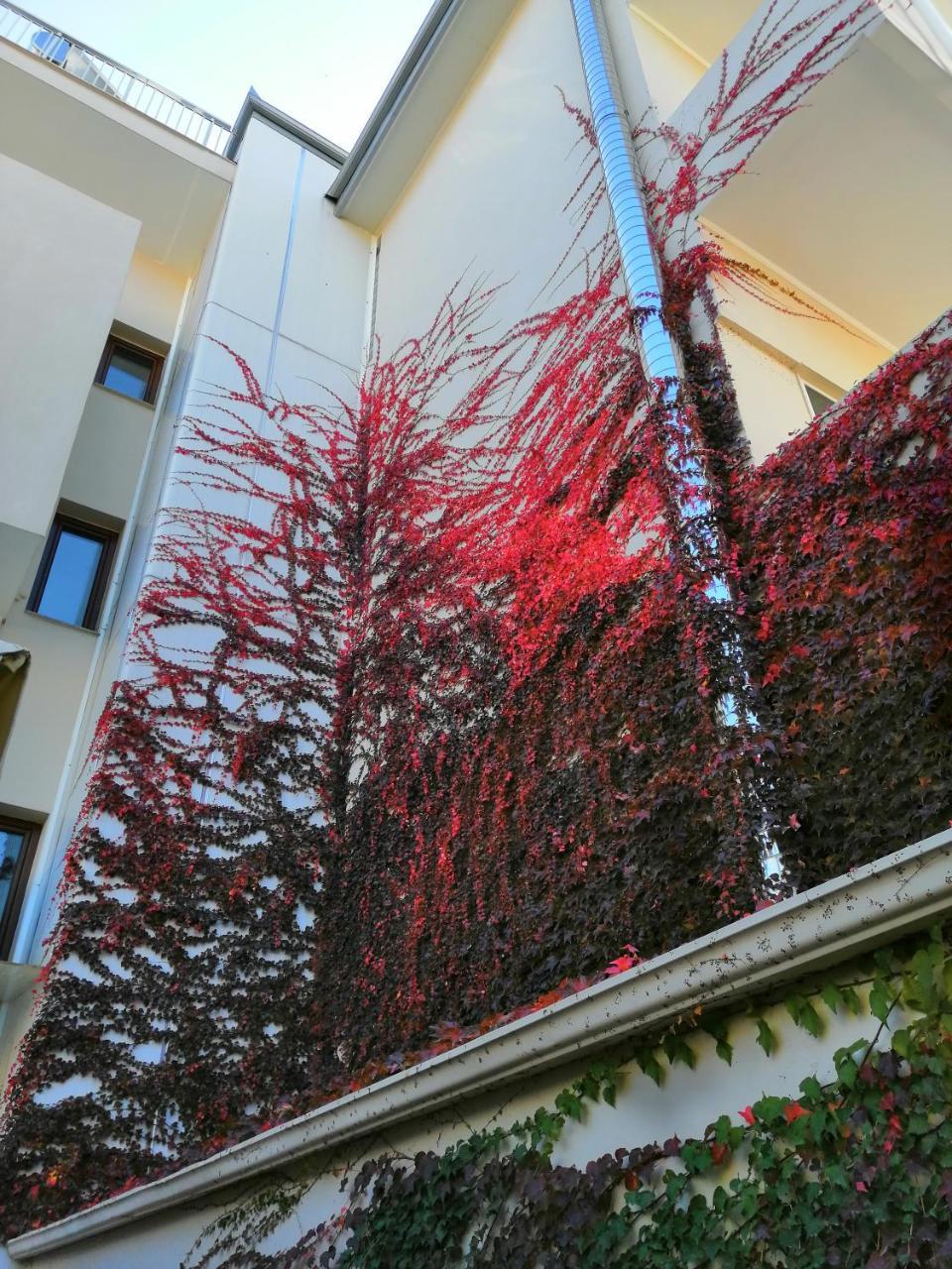 Giorgos Apartments Sea View Olympiakí Aktí Eksteriør billede